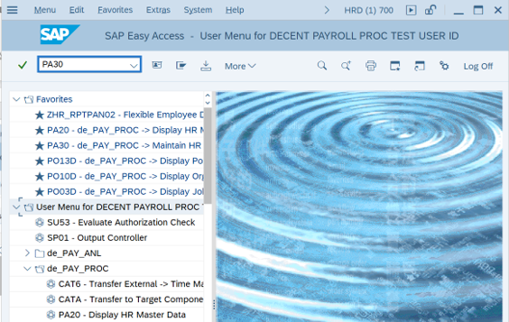SAP Easy Access with PA30 in the command field.