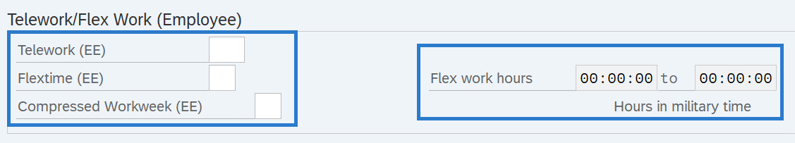 Telework/Flex Work (Employee)  infotype selected.