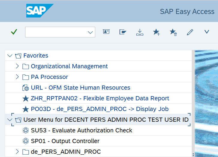 SAP Easy Access Favorites and User Menu display.