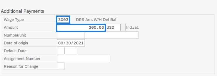 Additonal Payments screen with Wage Type and Amount fields highlighted 