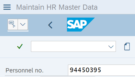 Maintain HR master data screen with Personnel number field 94450395