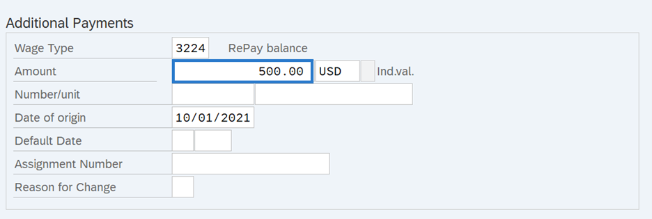 Additional Payments Screen with Amount field highlighted