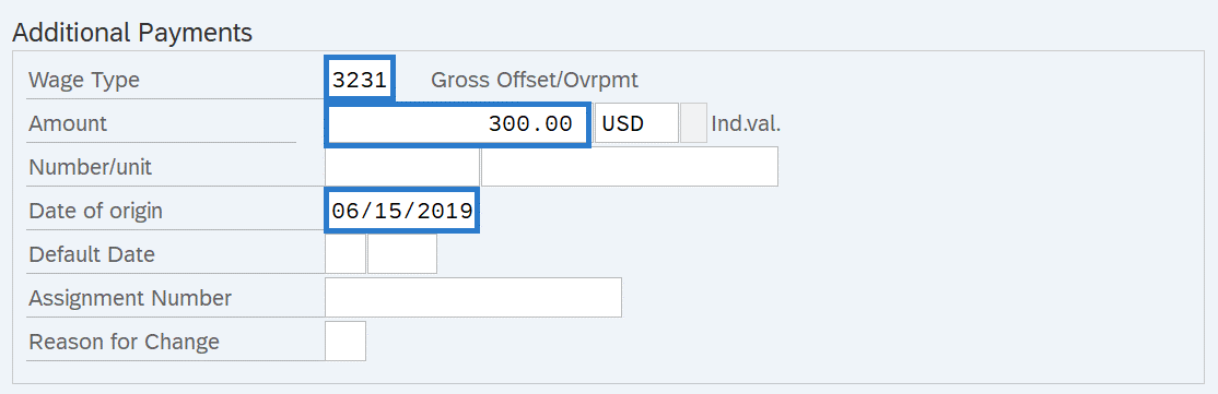 Additional Payments with Wage Type, Amount, and Date of origin selected.