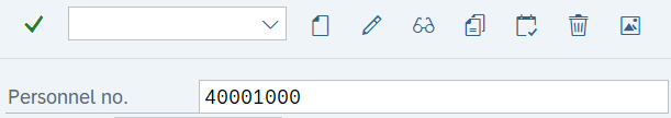 Alt text: Personnel no. field with value of 40001000.