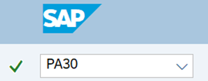 Command field with transaction code PA30.