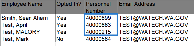 Excel spreadsheet with Personnel Numbers opted in selected.