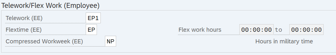 Telework/Flex Work (Employee) infotype selected. 
