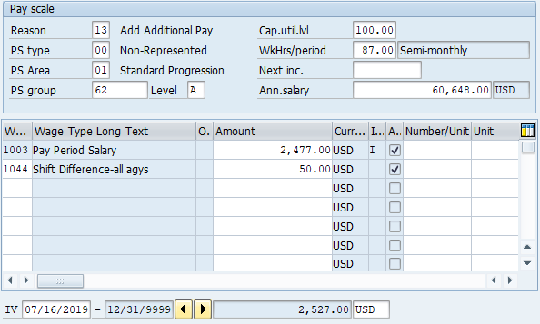 Screenshot of basic pay screen.
