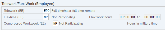 Telework/Flex Work (Employee) infotype selected.