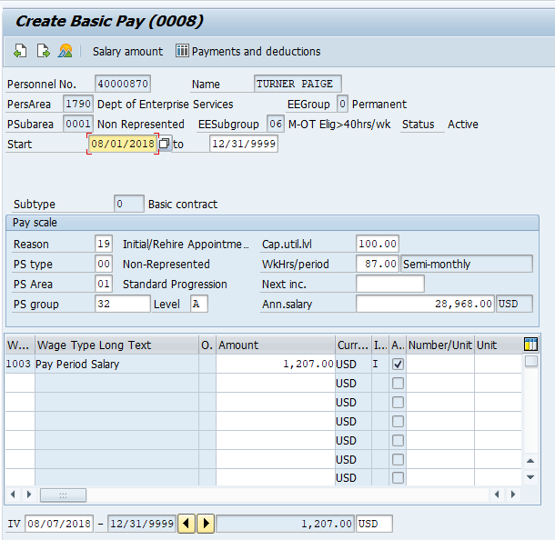 Screenshot of create basic pay screen.