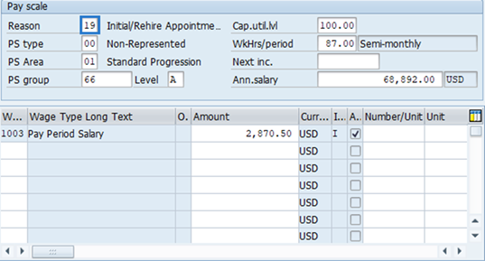 Screenshot of basic pay screen.