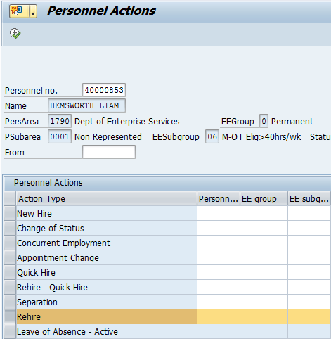 Screenshot of personnel actions screen.