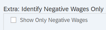 Show Only Negative Wages check box displayed.