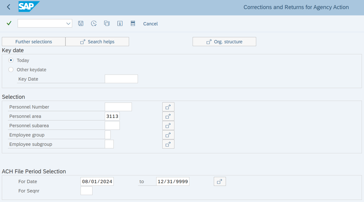 Personnel area field with value of 3113 and For Date field with value of 08/01/2024 to 12/31/9999.
