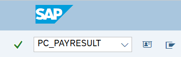 Command field with transaction code PC_PAYRESULT.