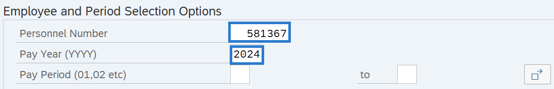 Personnel Number and Pay Year (YYYY) fields displayed.