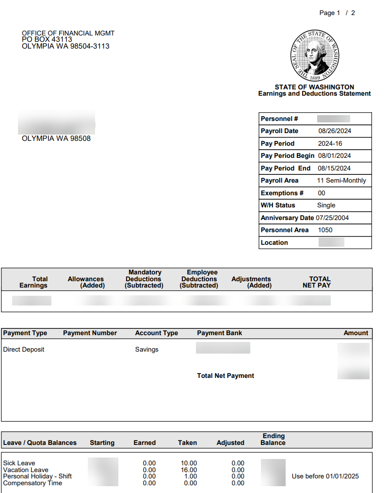 DIsplay Earnings Statement report results displayed.