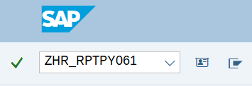 Command field with transaction code ZHR_RPTPY061.
