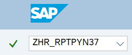 Command field with transaction code ZHR_RPTPYN37.