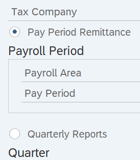 Pay Period Remittance radio button selected.