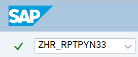 Command field with transaction code ZHR_RPTPYN33.