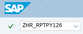 Command field with transaction code ZHR_RPTPY126.