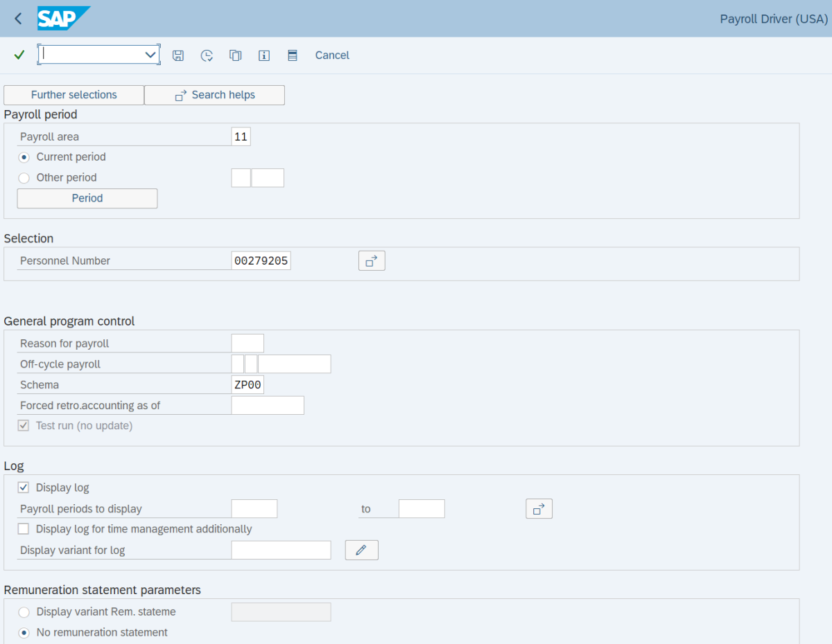 Payroll period, Date Selection, and Selections field displayed.
