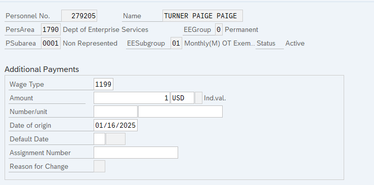 dditional Payments section with Wage Type field displayed.