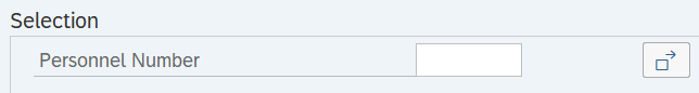 Selection field and Personnel Number field displayed.