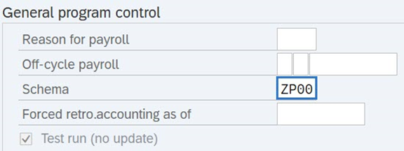 General program control field with Schema field highlighted.