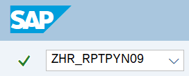 Command field with transaction code ZHR_RPTPYN09.