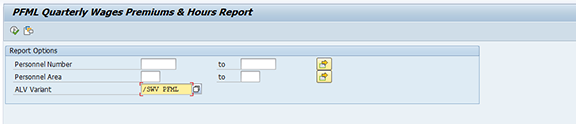 Screenshot of report options section.