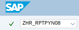 Command field with transaction code ZHR_RPTPYN08.