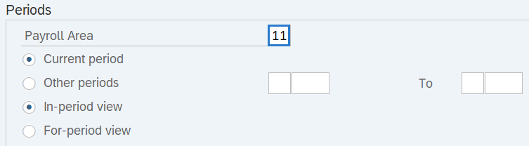 Periods section with Payroll Area displayed.