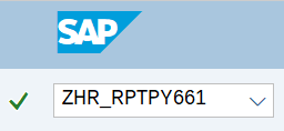 Command field with transaction code ZHR_RPTPY661.